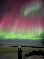 SKOG - Aurora igloos