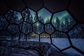 SKOG - Aurora igloos