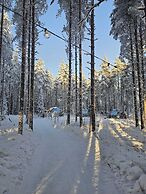 SKOG - Aurora igloos