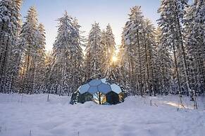 SKOG - Aurora igloos