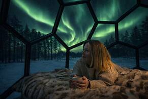 SKOG - Aurora igloos