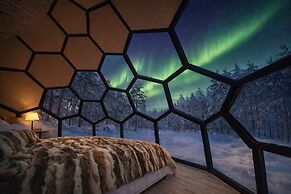 SKOG - Aurora igloos