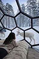 SKOG - Aurora igloos