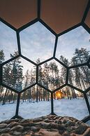 SKOG - Aurora igloos