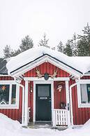 SKOG - Aurora igloos