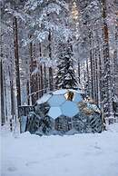 SKOG - Aurora igloos