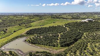 La Glycine in Castro Marim