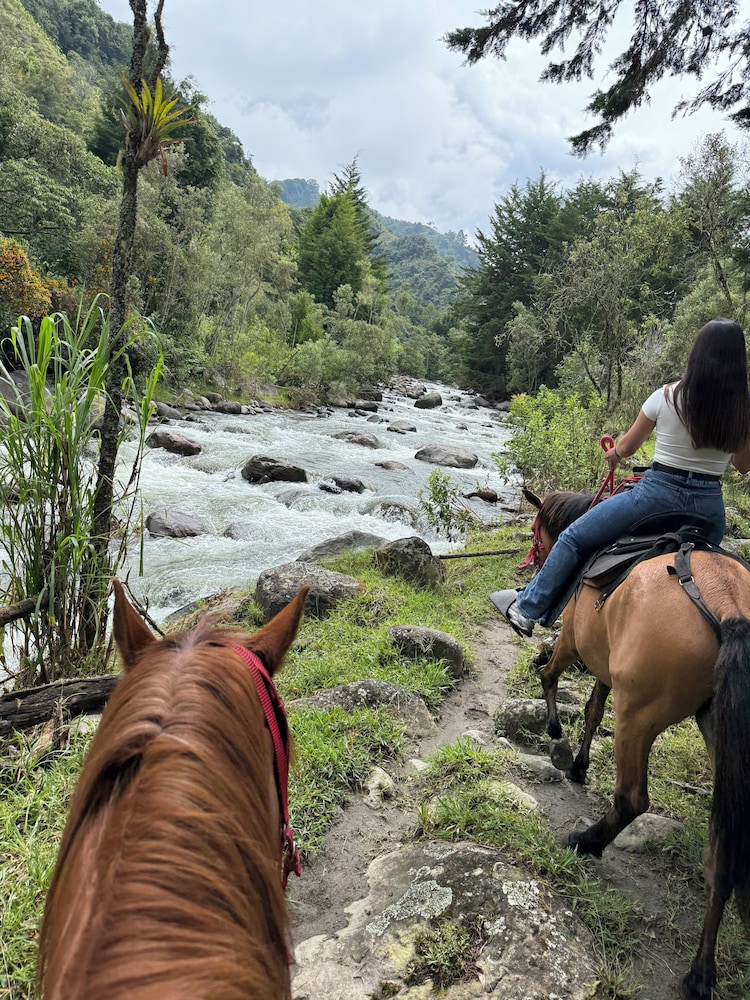 El Rancho de Salento