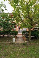 Xenofontas apartments