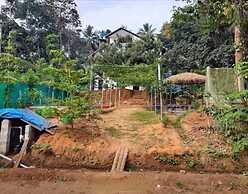 Loquat Inn Homestay