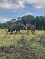 Ripo Wild Safaris