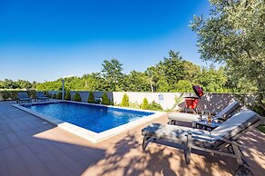Villa With Pool, Game Room, Garden