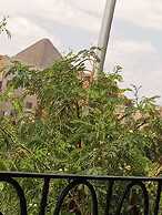 The King Narmar Hotel