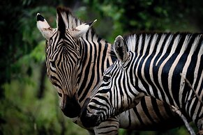 Xidulu Safari Lodge