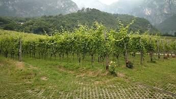 Agriturismo Margone