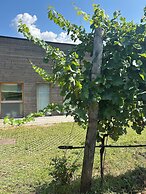 Agriturismo Margone