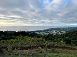 Olas de Buchupureo - con vida de campo