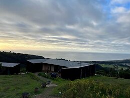 Olas de Buchupureo - con vida de campo