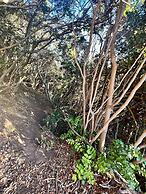 Olas de Buchupureo - con vida de campo