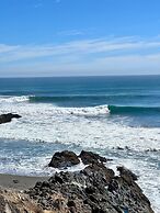 Olas de Buchupureo - con vida de campo
