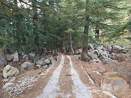 Shepherd's Lore Camps & Resort