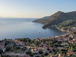 Oliva Mare