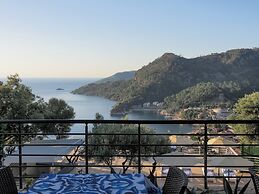 Oliva Mare