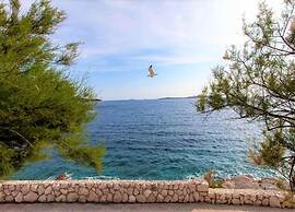 Apartment in Dalmatia With Garden View