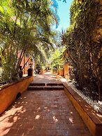 Paseo Colonial - Leo's Favorite