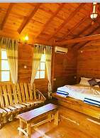 Tree Plus