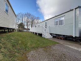 602 Sycamore forest