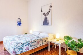 Hikuri House