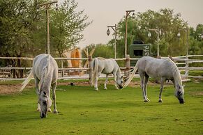Al Marmoom Oasis Bedouin Tent Experience