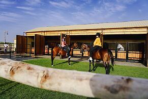 Al Marmoom Oasis Bedouin Tent Experience