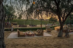 Al Marmoom Oasis Bedouin Tent Experience