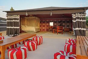 Al Marmoom Oasis Bedouin Tent Experience