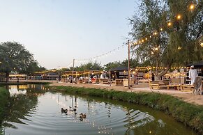 Al Marmoom Oasis Bedouin Tent Experience