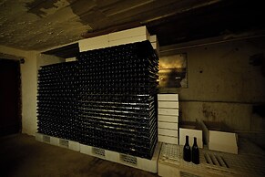 Areni Wine Art
