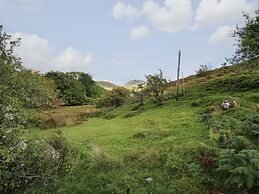 Tyn Y Graig