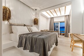 cactus suites