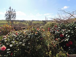 Magnolia View