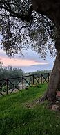 AGRITURISMO  LA FOCAZZA