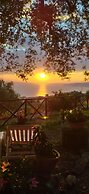 AGRITURISMO  LA FOCAZZA