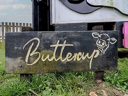 Buttercup
