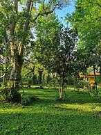 Jardin de los Anturios, Xico