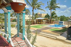 The Patio