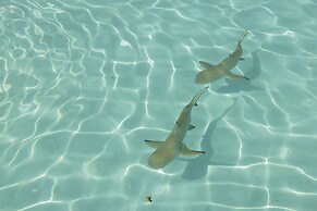 Moorea - The Serenity Creek spa