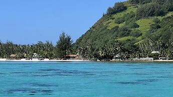 Moorea - Tropical Nest