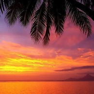 Tahiti - Fare Vainato Beach
