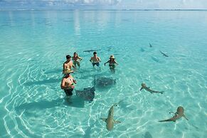 Moorea - The ZEN Den spa